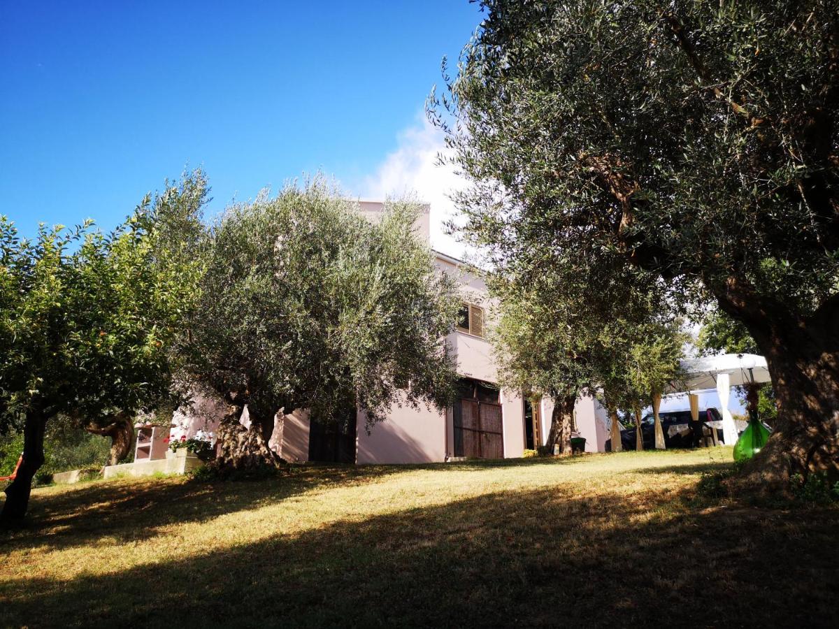 Lory Bed & Breakfast Elice Dış mekan fotoğraf